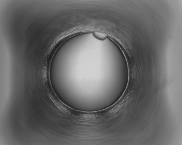 X0000116481499200912161241