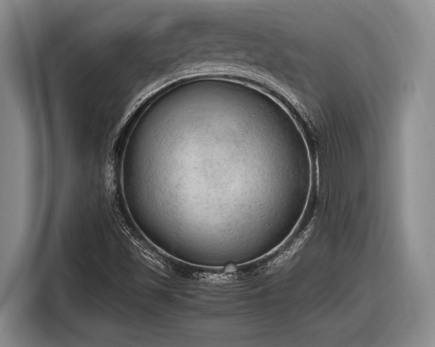 X0000116481501200912161242