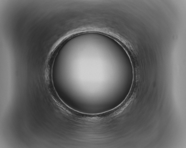 X0000116481502200912161242