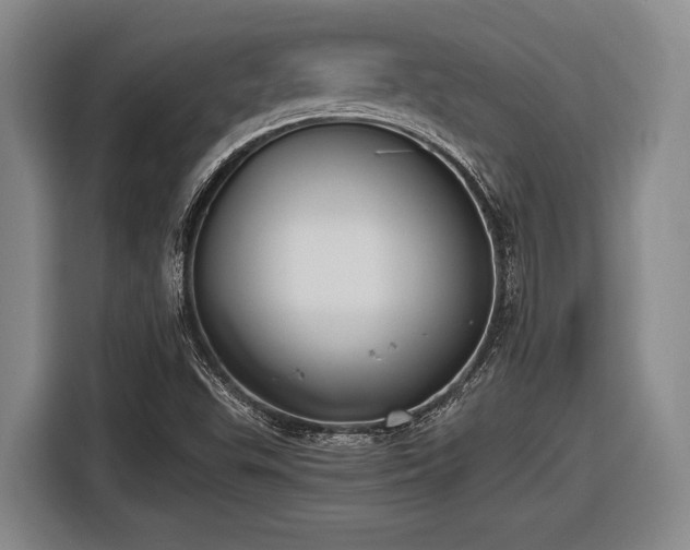 X0000116481503200912161242