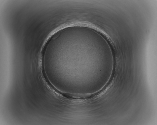 X0000116481506200912161242