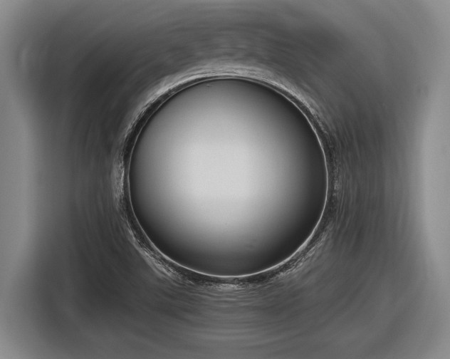 X0000116481507200912161242