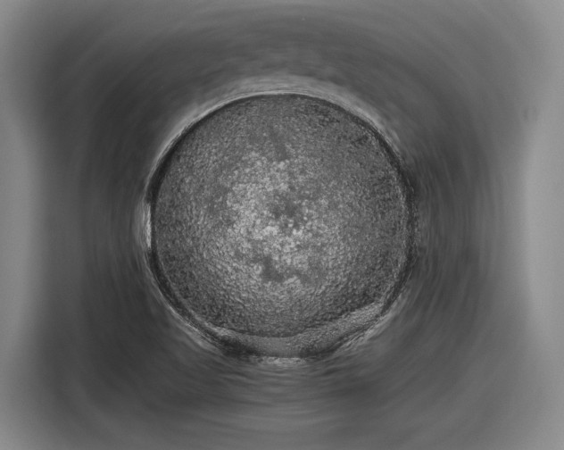 X0000116481509200912161242