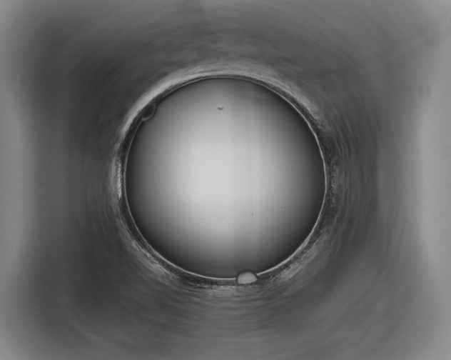 X0000116481510200912161242