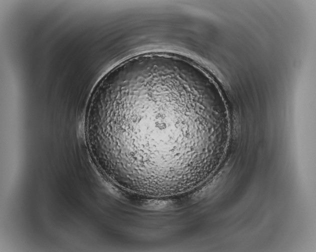 X0000116481513200912161242