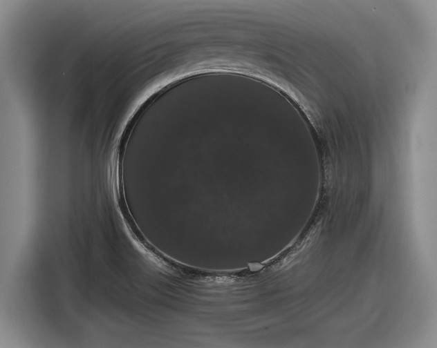 X0000116481515200912161242