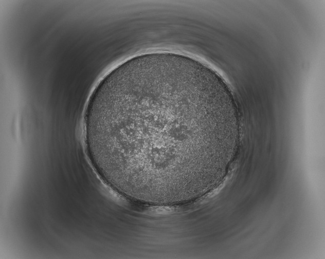 X0000116481517200912161242