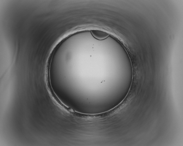 X0000116481518200912161242