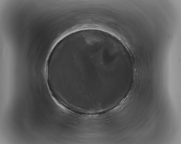 X0000116481519200912161242