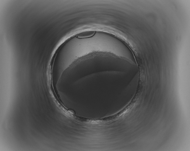 X0000116481522200912161242