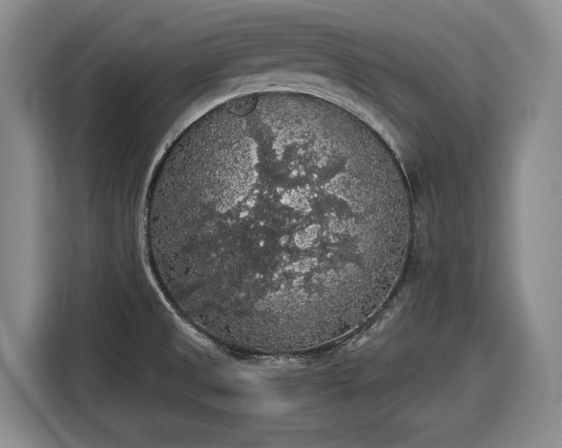 X0000116481525200912161242