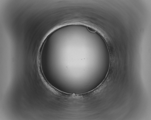 X0000116481526200912161242