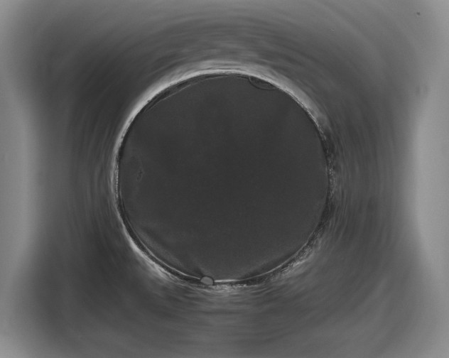 X0000116481527200912161242