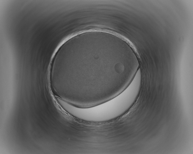 X0000116481530200912161242