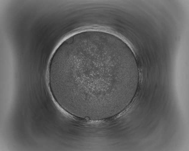 X0000116481531200912161242