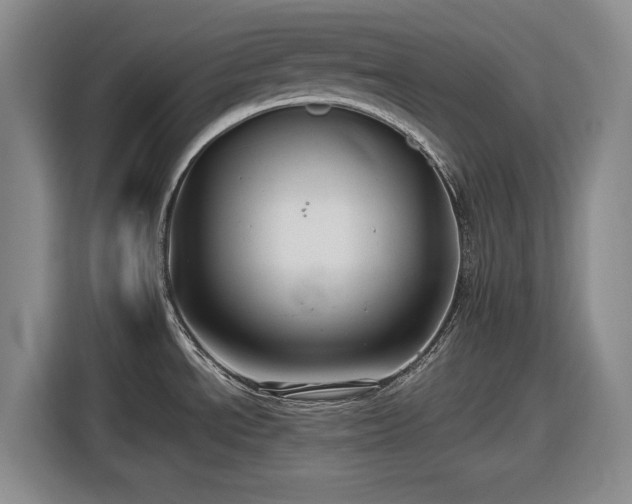 X0000116481534200912161242