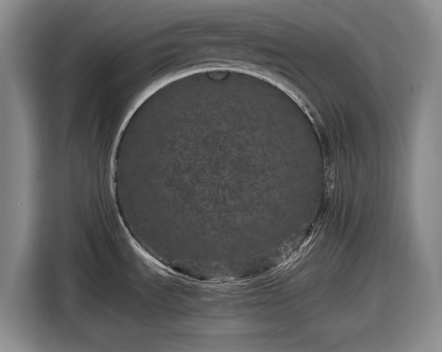 X0000116481535200912161242