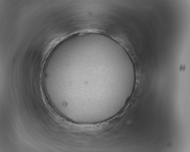 X0000116480001200912231140