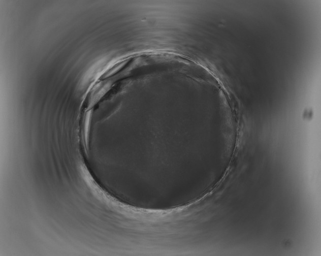 X0000116480002200912231140