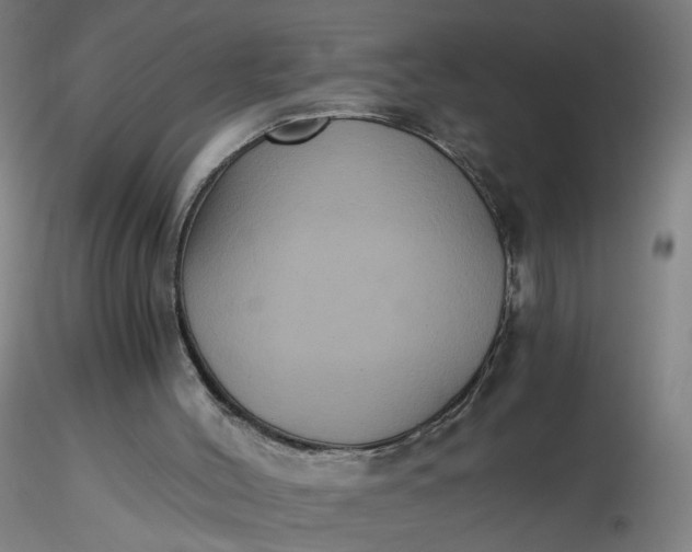 X0000116480004200912231140