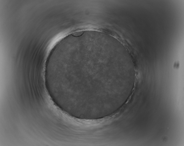 X0000116480006200912231140