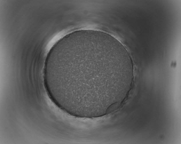 X0000116480007200912231140