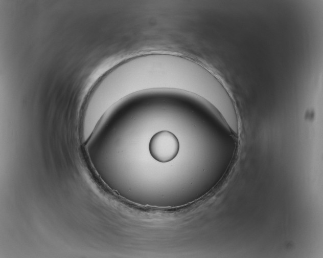 X0000116480008200912231140