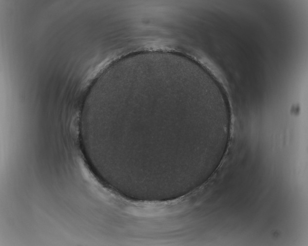 X0000116480009200912231140