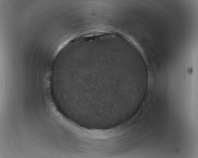 X0000116480010200912231140