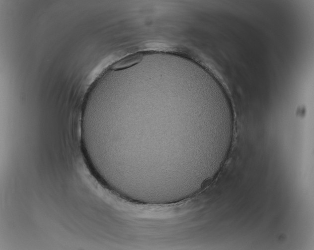 X0000116480011200912231140