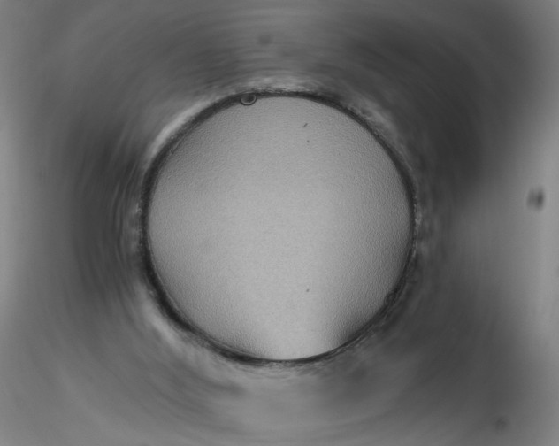 X0000116480012200912231140