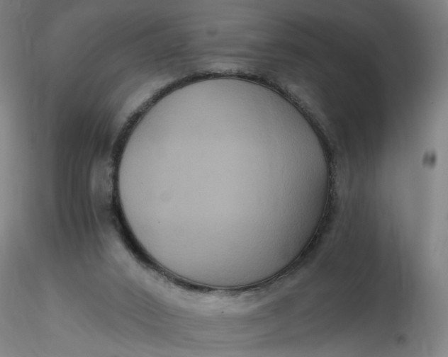 X0000116480016200912231140