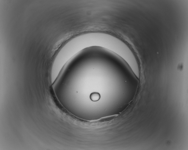 X0000116480019200912231140