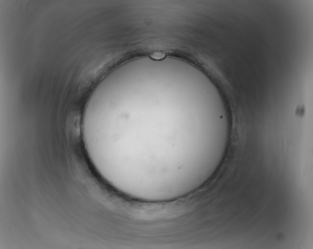 X0000116480021200912231140