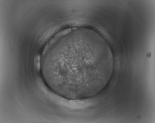 X0000116480022200912231140