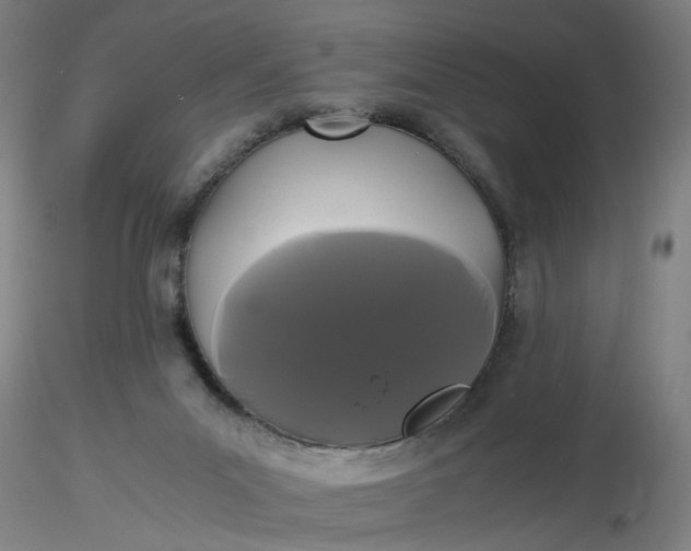 X0000116480023200912231140