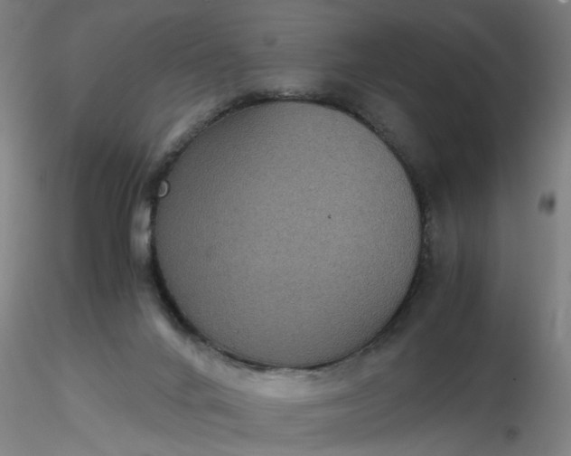 X0000116480024200912231140