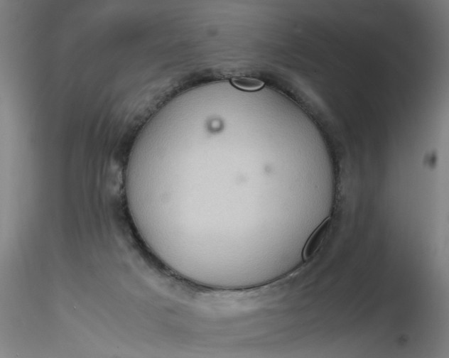 X0000116480025200912231140