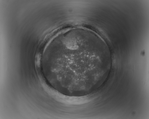 X0000116480026200912231140