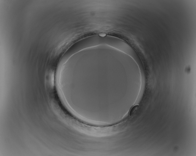 X0000116480027200912231140