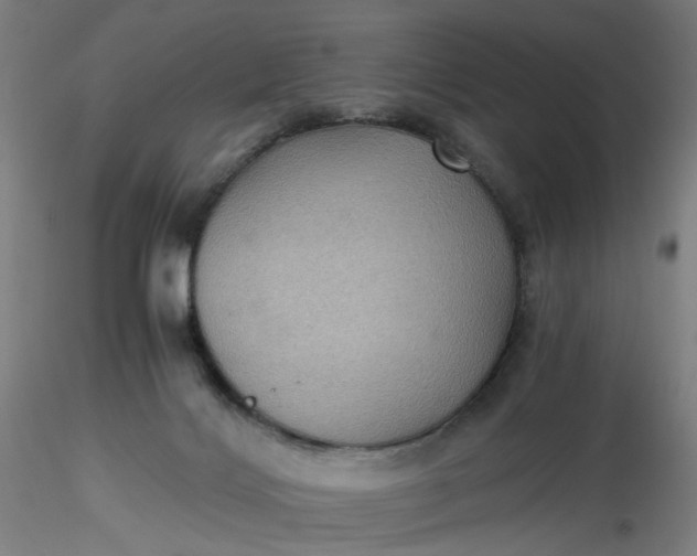 X0000116480028200912231140