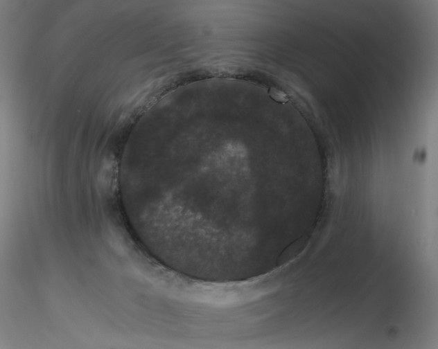 X0000116480029200912231140