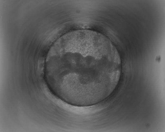 X0000116480030200912231140