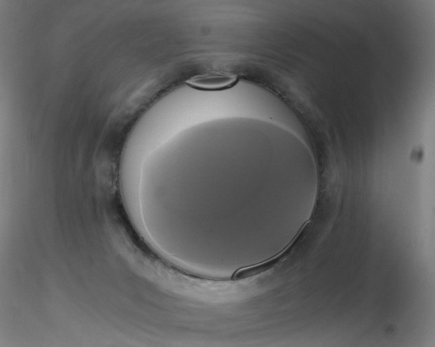 X0000116480031200912231140