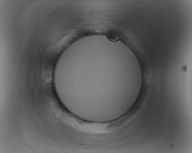 X0000116480032200912231140