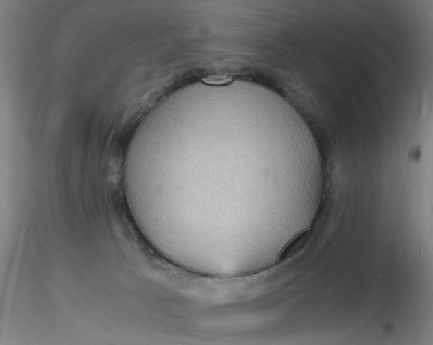 X0000116480033200912231140