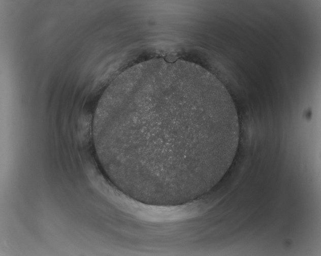 X0000116480034200912231140