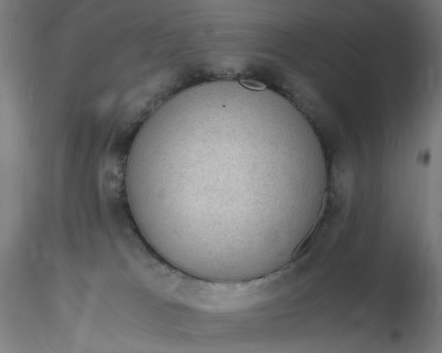 X0000116480037200912231140