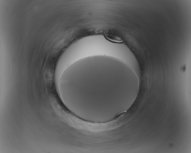 X0000116480039200912231140