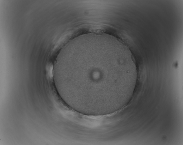 X0000116480041200912231140